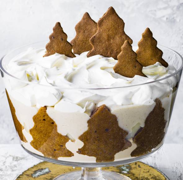 Einfache Vanillecreme mit Lebkuchen
