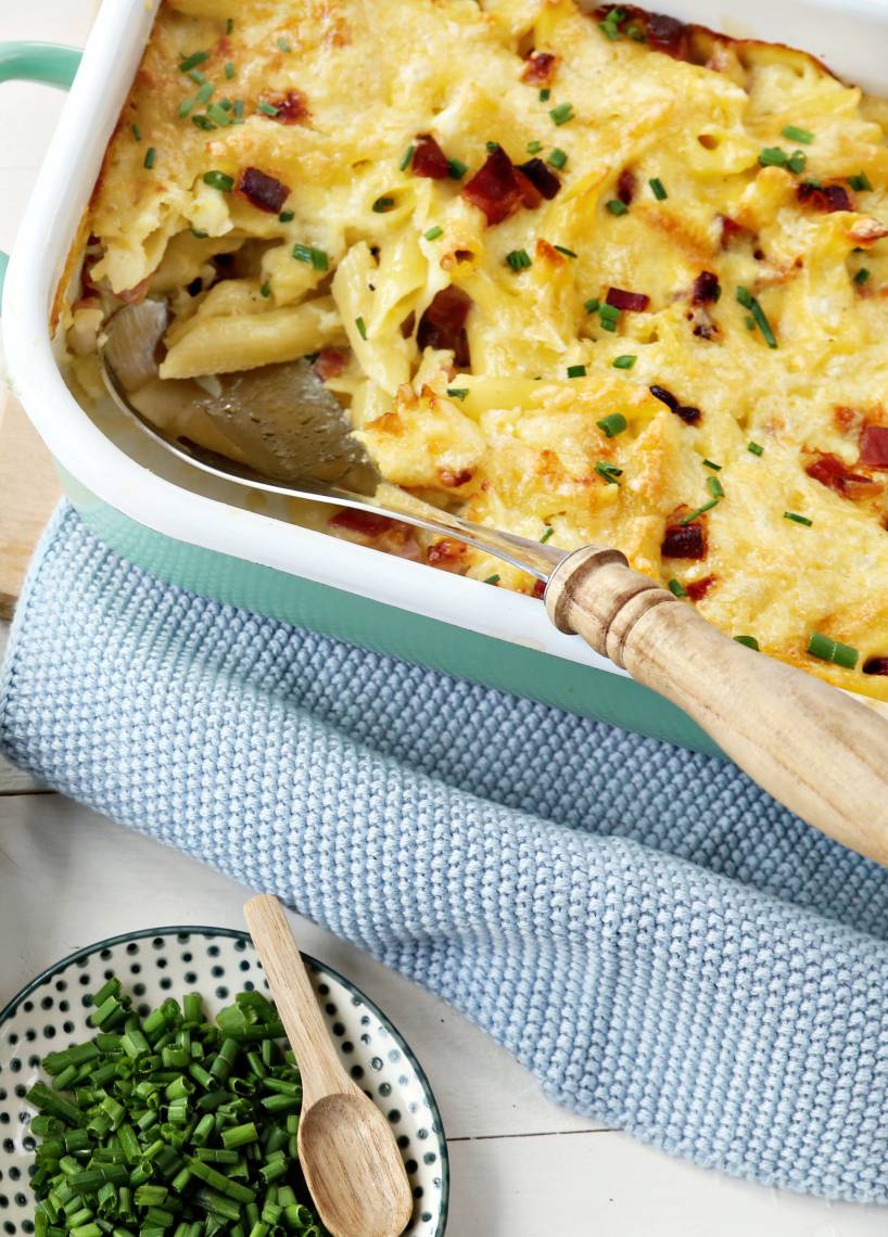 Nudel-Schinken-Gratin